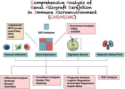 CARARIME: Interactive web server for comprehensive analysis of renal allograft rejection in immune microenvironment